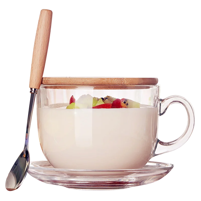 480ml Heat Resistant Thick Glass Glass Coffee Cup Milk Mug Transparent Round Kungfu Tea Cup with Bamboo Cover and Spoon - Gabriel